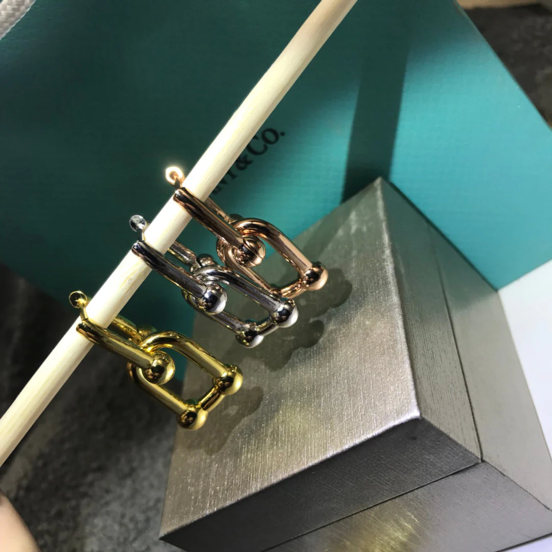 [TF]HARDWARE DROP EARRINGS DOUBLE LINK