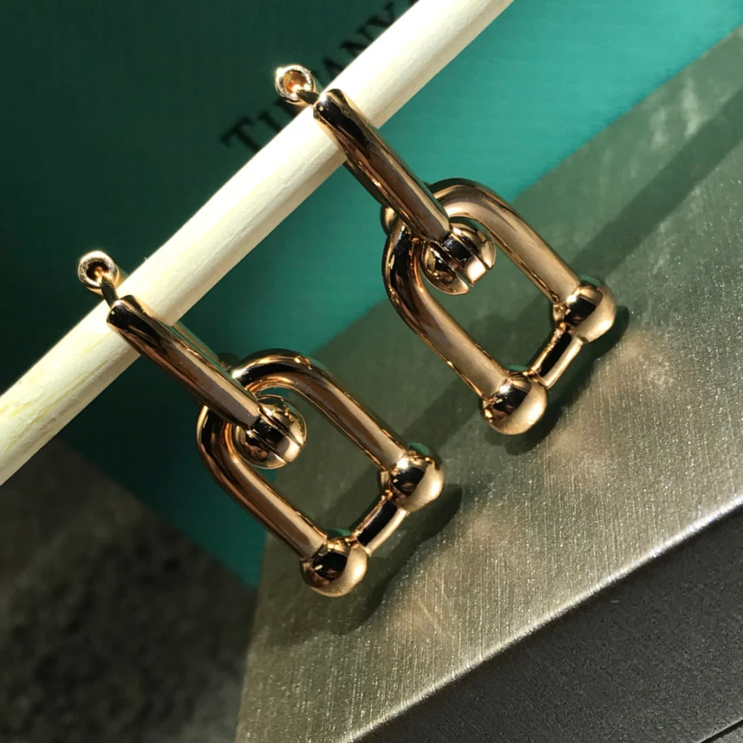 [TF]HARDWARE DROP EARRINGS DOUBLE LINK