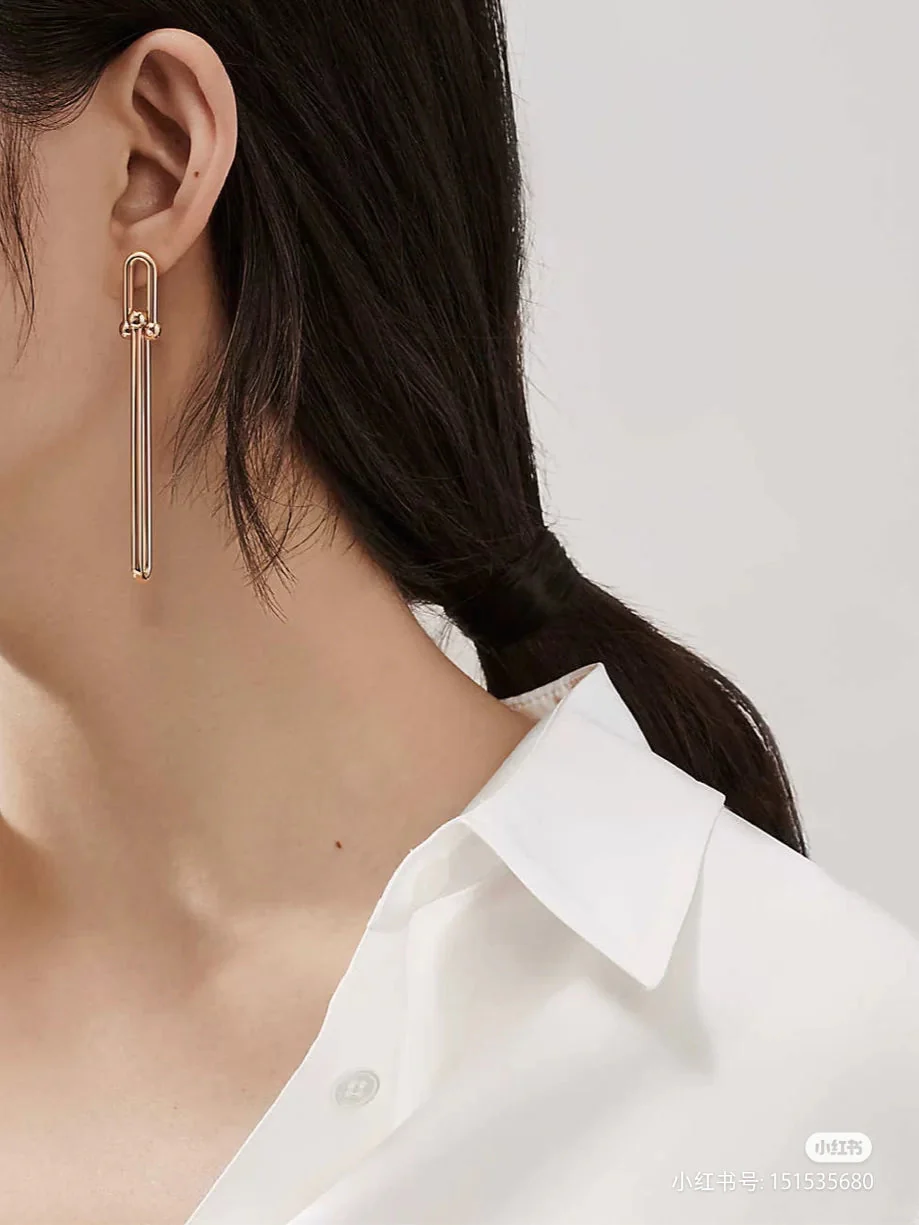[TF]HARDWEAR DOUBLE LONG LINK EARRINGS